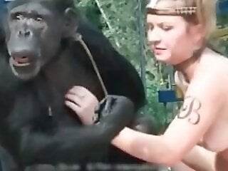 Zoo Porn