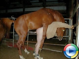 Zoo porn and zoo sex video