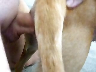 XXX bestiality zoo porn