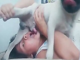 Animal porn videos and ZOO PORN