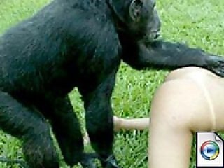 XXX Zoo video