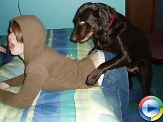 PornBbestiality